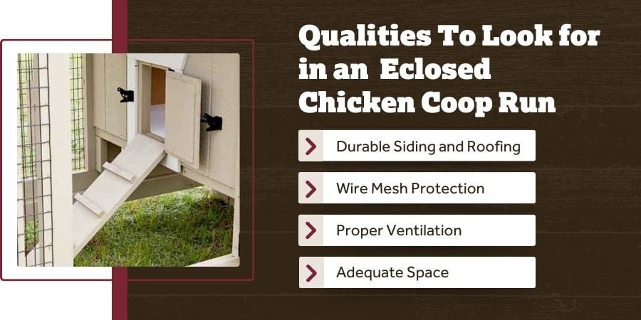 Blog_QualitiesToLookForInAnEnclosedChickenCoopRun_900x450