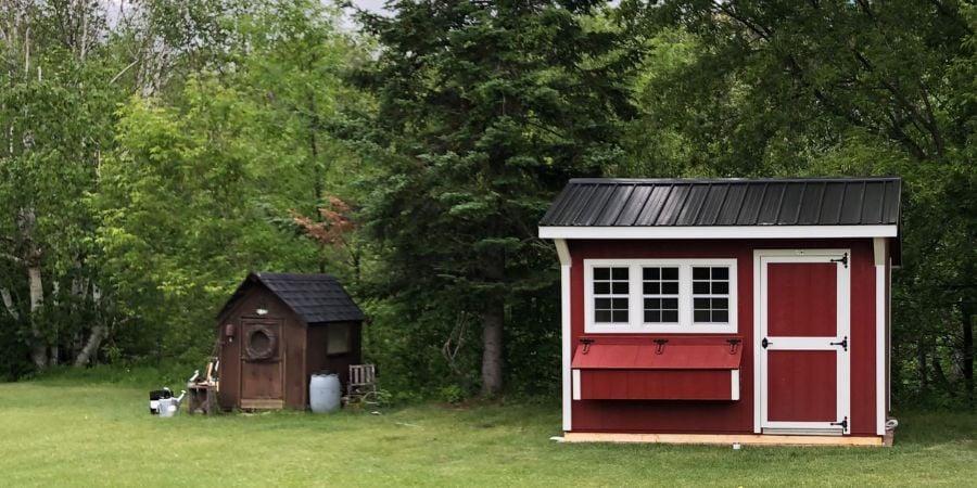 Blog_Red Free-range Chicken Coop_900x450