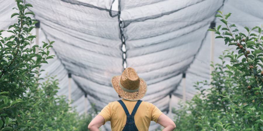 Blog_Shade Cloth on Greenhouse_900x450