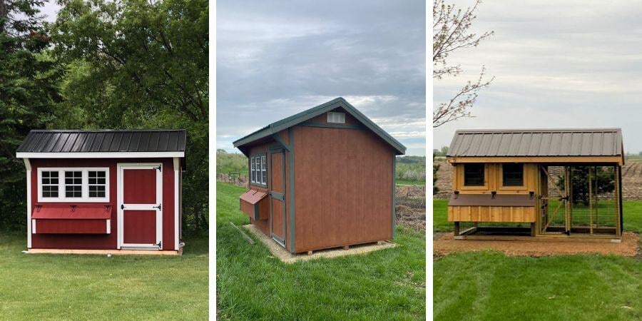 Blog_Small Chicken Coops_900x450