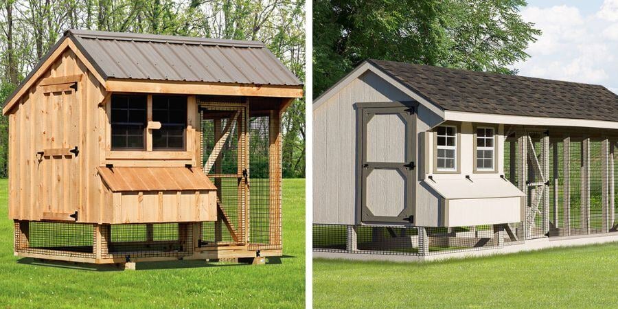 Blog_SmallAndLargeCoops_900x450