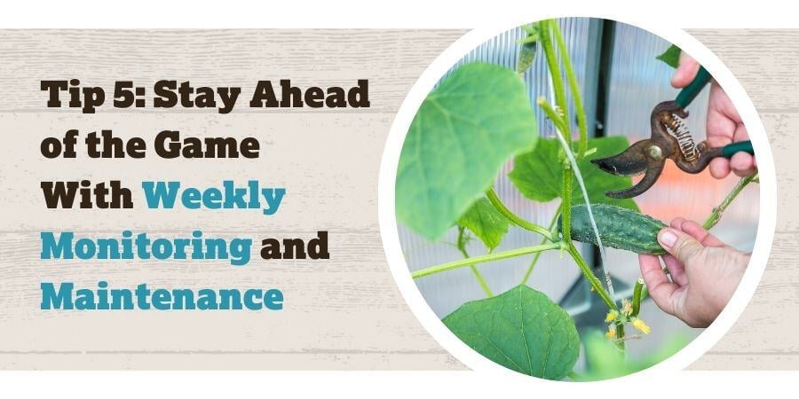 Blog_StayAheadOfTheGameWithWeeklyMonitoringAndMaintenance_900x450