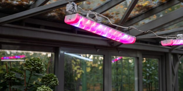 Blog_SupplimentalGreenhouseLighting_900x450