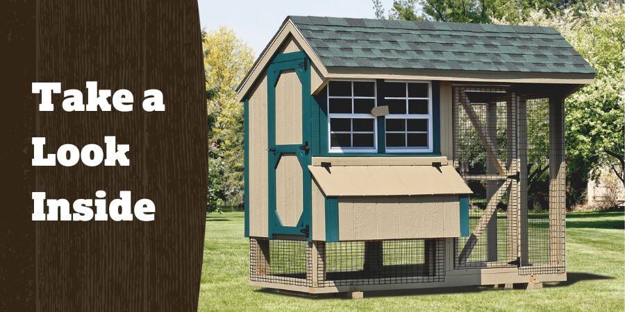 Blog_TakeALookInsideOurCoops_900x450