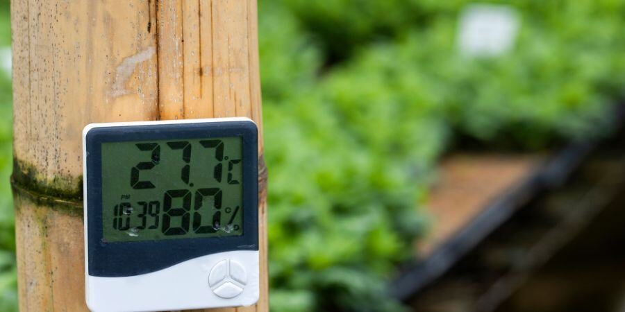 Blog_ThermohygrometerForMeasuringGreenhouseTemperatureAndHumidity_900x450