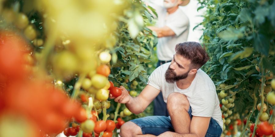 Blog_Two Men Inspecting Their Produce_900x450
