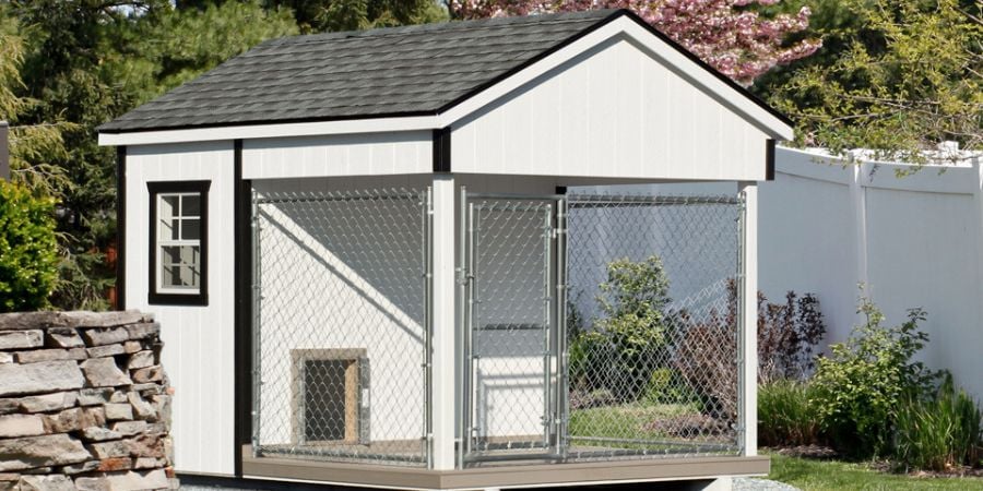 Blog_White Kennel_900x450