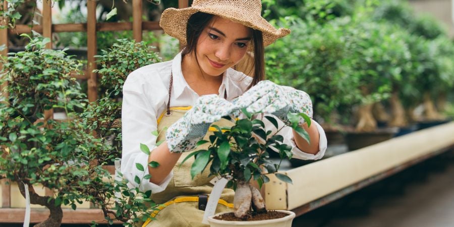 Blog_Woman in a Greenhouse_900x450