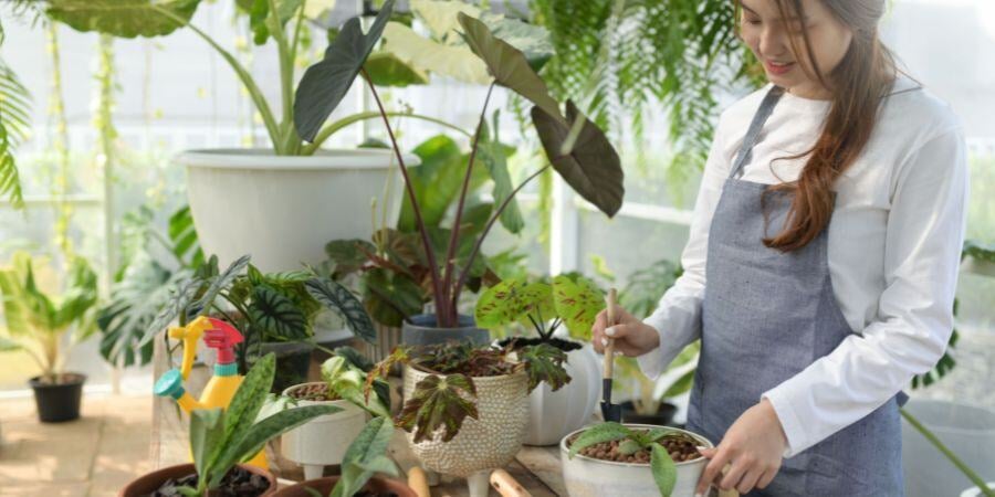 Blog_WomanCaringForPlantsInGreenhouse_900x450