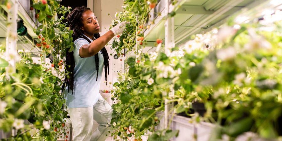 Blog_WomanTendingToHydroponicGardening_900x450