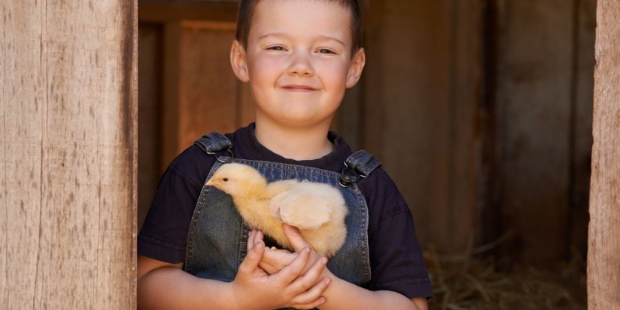 Blog_boy Holding a Chick_900x450