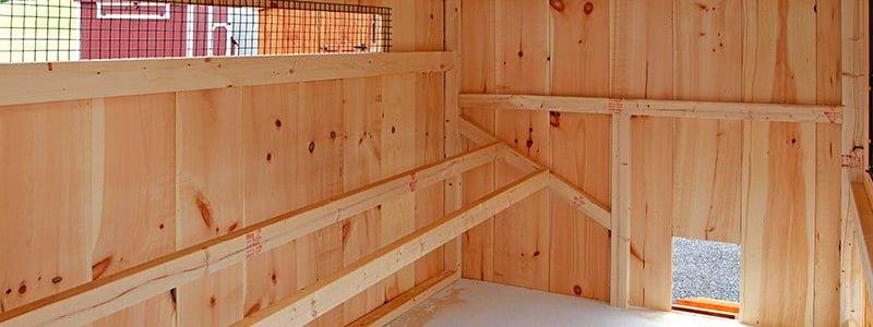 Chicken Coop Interior