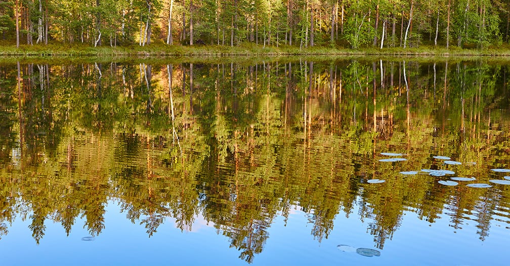 Hunters & Lake House Owners