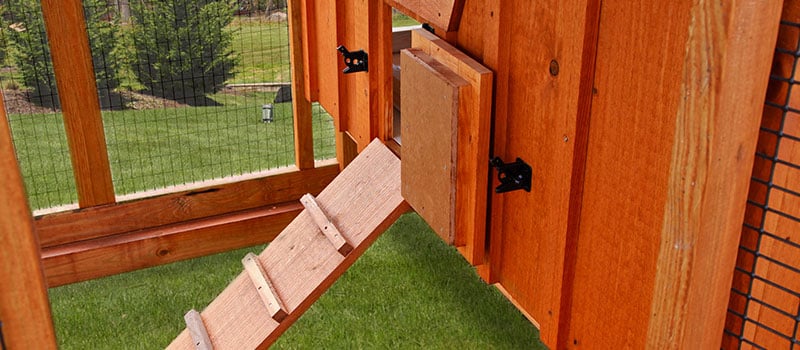 Chicken Coop Essentials: Providing Shelter from Extreme Temperatures