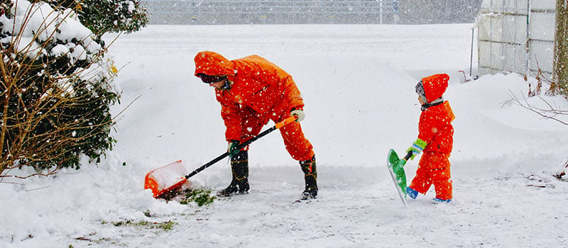 Prepare your shed for the season.