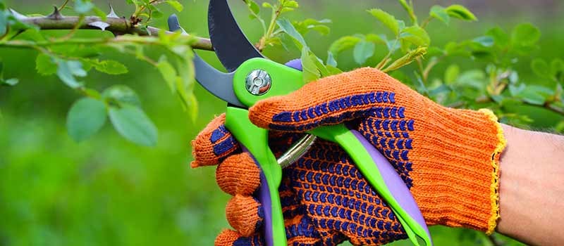 Gardening Pruners