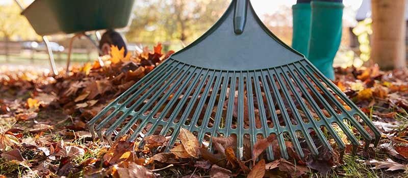 Gardening Rake