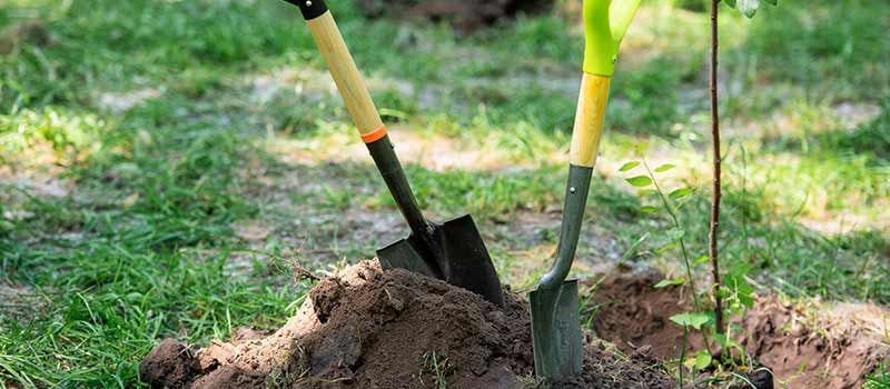 Gardening Shovel