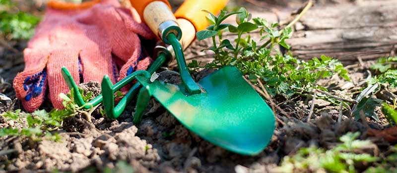 Gardening Trowel