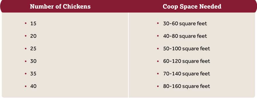 Chicken coop space chart