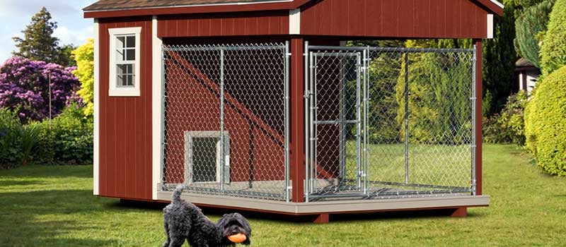 Benefits of a Large Dog Kennel