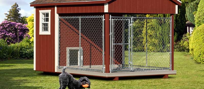 Benefits of a Large Dog Kennel