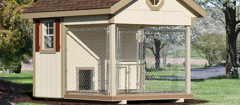 Outdoor Dog Kennel