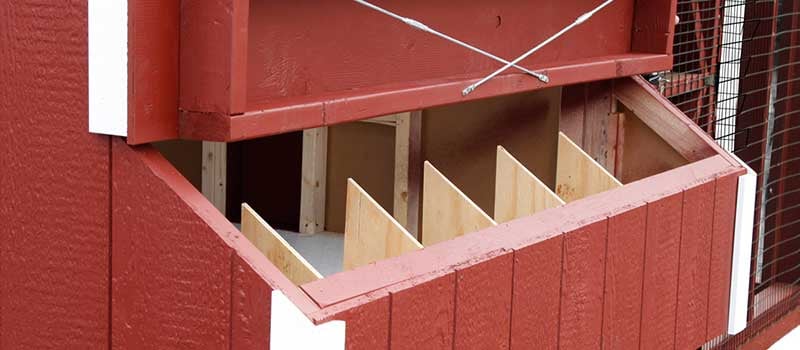 Nesting Boxes for Egg Collection