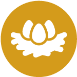 Content_ThingsEveryHomesteaderShouldHave_Icon_NestingBox