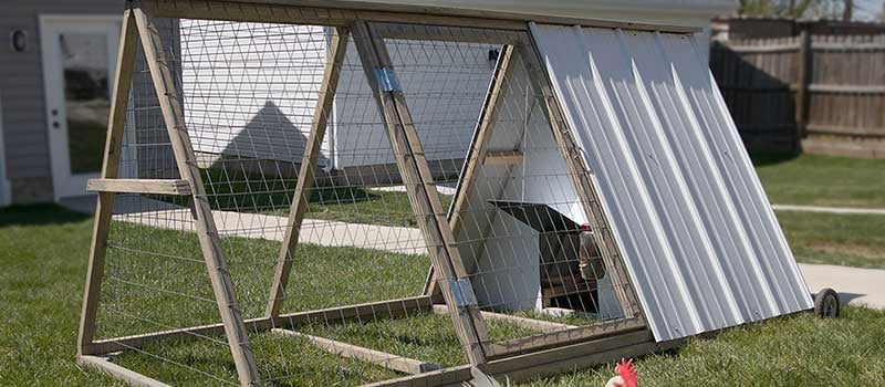 DIY Chicken Coops