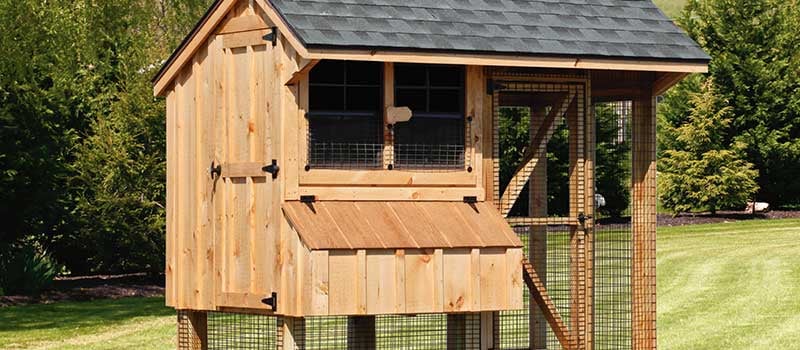 Enclosed Wooden Chicken Coops