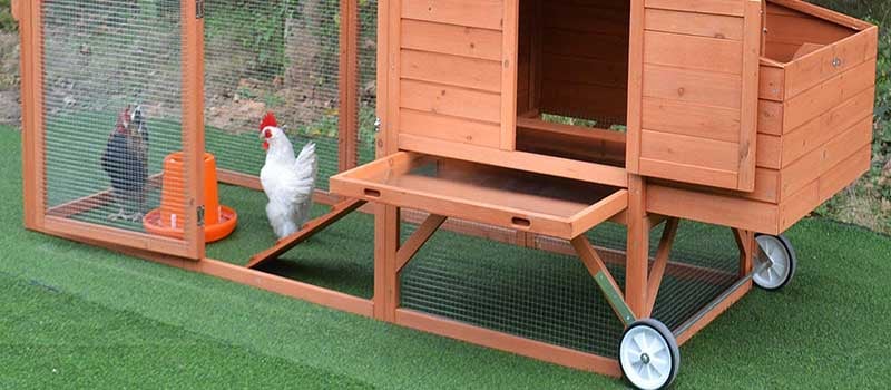 Enclosed Portable Wooden Chicken Coop
