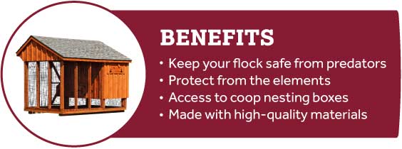 Content_WhyChooseAnEnclosedChickenCoopForHomesteadChickens_CoopBenefits