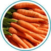 Email_Carrots_300x300