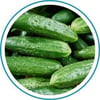 Email_Cucumbers_300x300