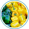 Email_Peppers_300x300