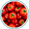 Email_Tomatos_300x300