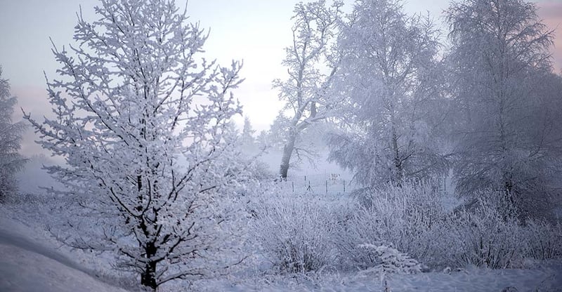 5 Ways to Keep Your Garage Comfortably Warm this Winter