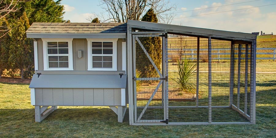 Outdoor chicken coop with a run