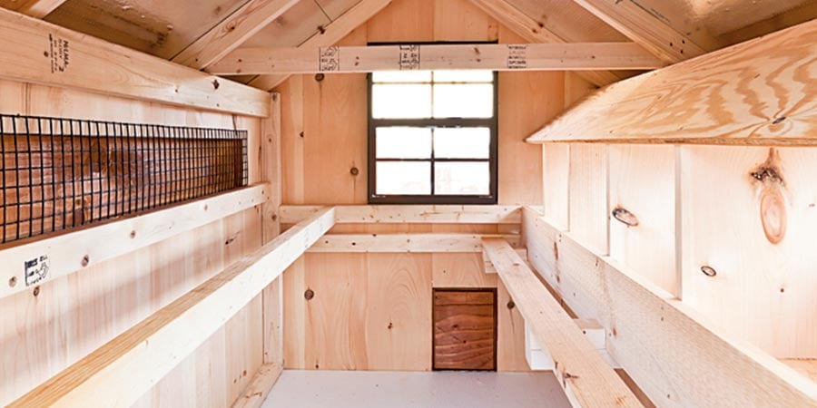 Key Features of the Best Homestead Chicken Coops