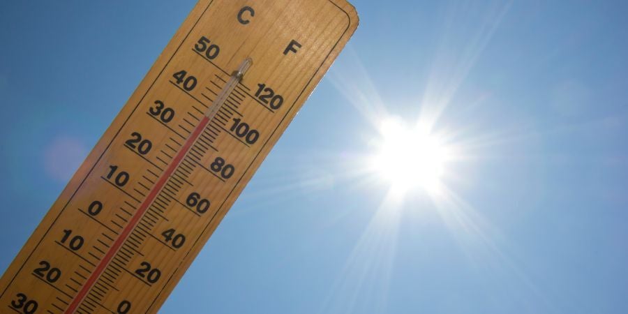 Social_GreenhouseCooling_900x450