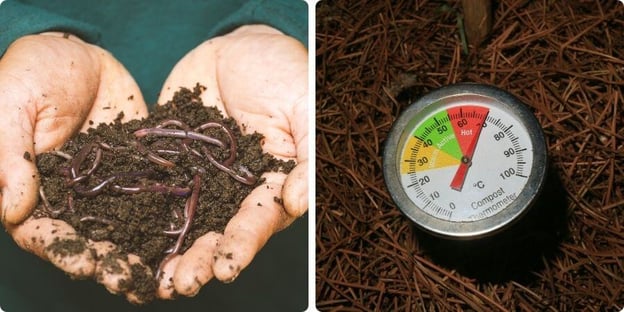 _Blog_2TypesOfComposting_900x450