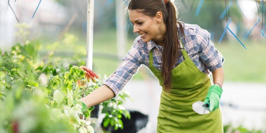 _Blog_TendingToPlantsInAGreenhouse_900x450