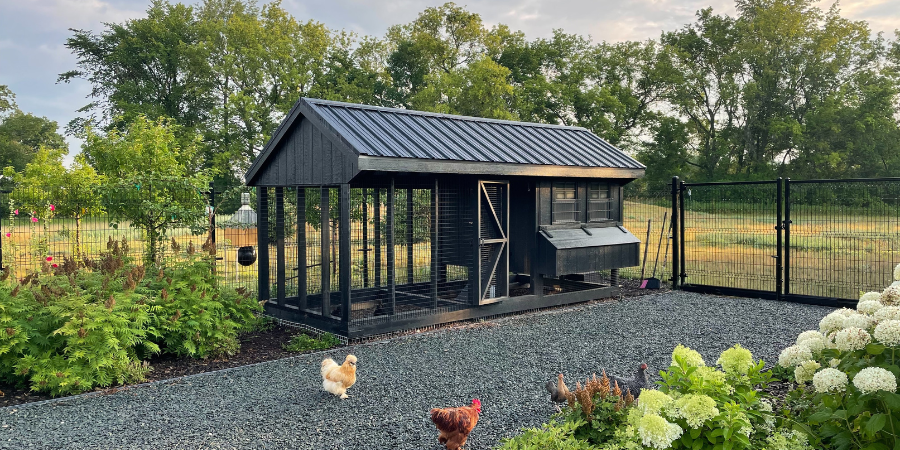 Dark colored enclosed chicken coop