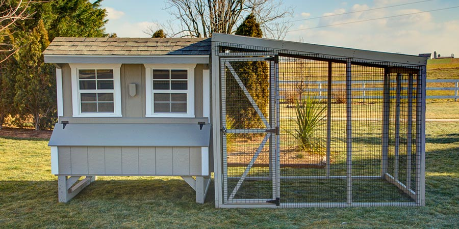 Light colored enclosed chicken coop