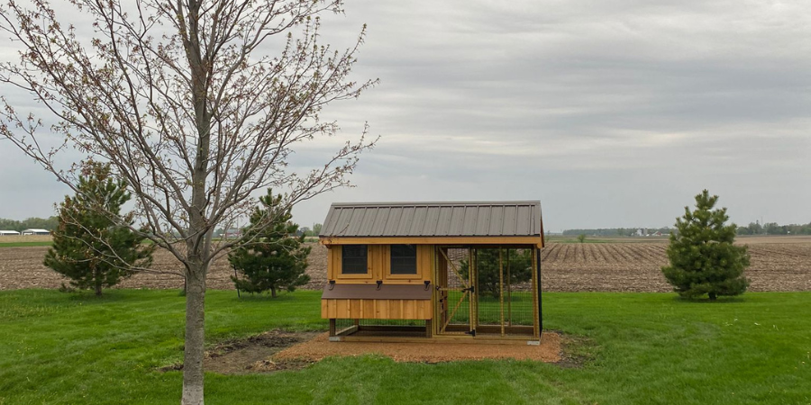 enclosed chicken coop on a farm