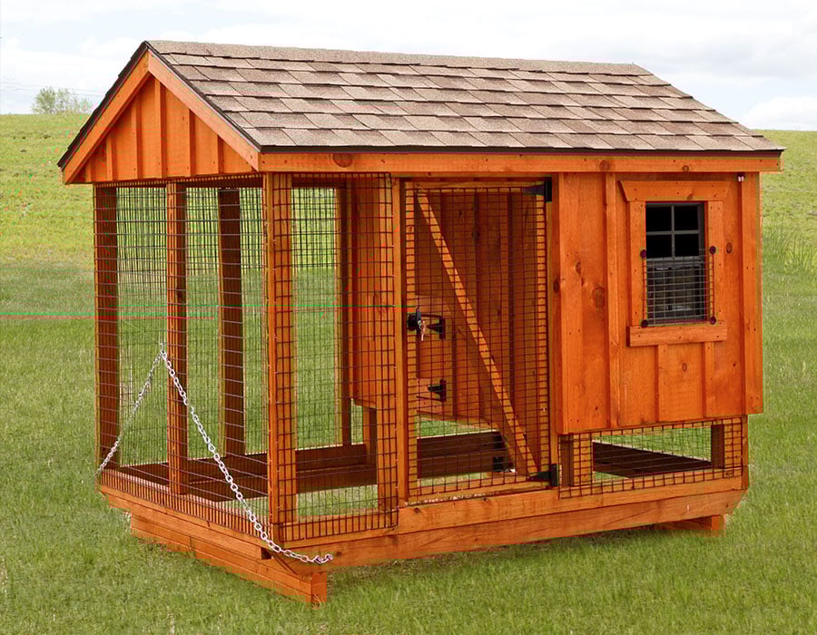 Chicken Coop