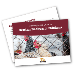 CTA_DownloadBackyardChickens_Offer_Download