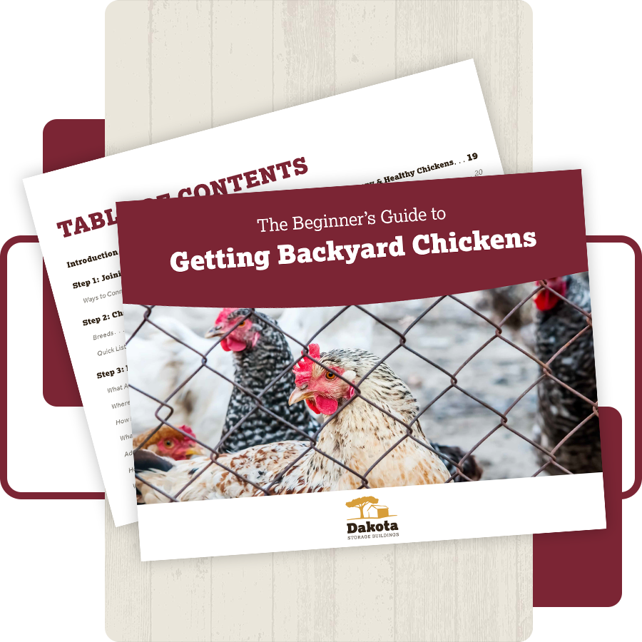 Content_BackyardChickens_Offer_Showcase