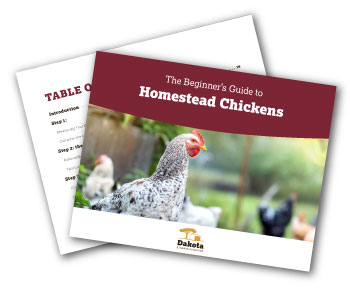 CTA_DownloadHomesteadChickens_CTA_Mockup